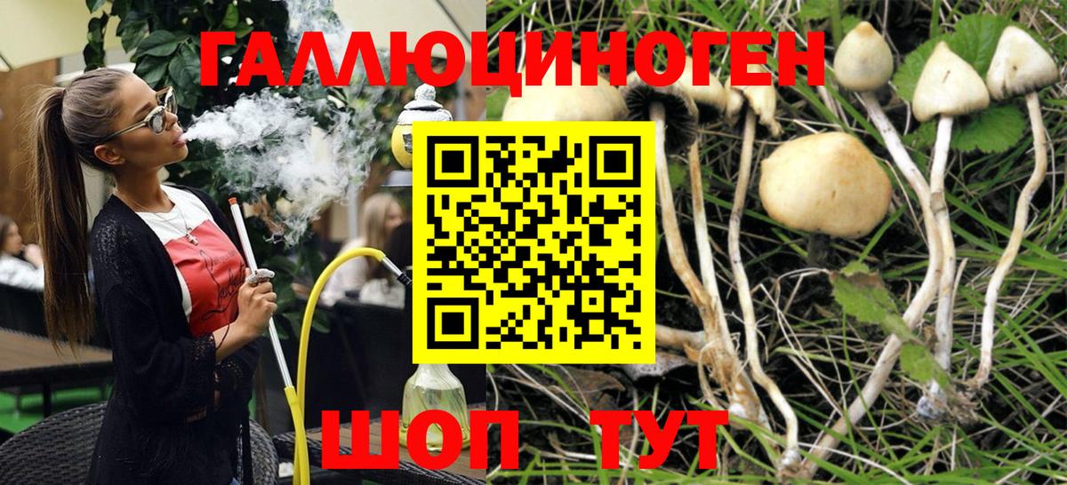 Псилоцибиновые грибы GOLDEN TEACHER  Псилоцибиновые грибы MAGIC MUSHROOMS  Кудрово  сколько стоит  Вход с VPN 